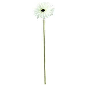 گل مصنوعی ژربرا سفید ایکیا مدل SMYCKA