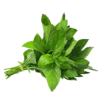 شامپو ضدشوره با رایحه نعناع هد اند شولدرز مدل Menthol Refresh - Image 2