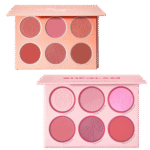 پالت رژگونه 6 رنگ شیگلم FLORAL FLUSH