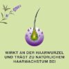 81bUSzg58pL._SX425_