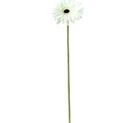 گل مصنوعی ژربرا سفید ایکیا مدل SMYCKA