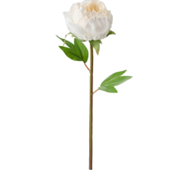 شاخه گل مصنوعی صدتومانی ایکیا مدل SMYCKA